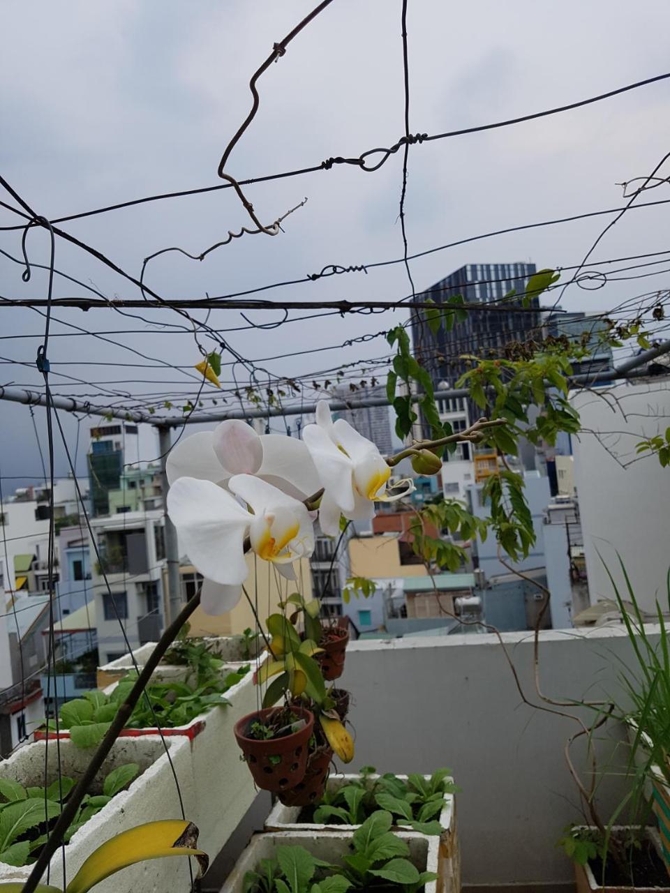 Urban House Saigon 2 Apartment Ho Chi Minh City Exterior photo